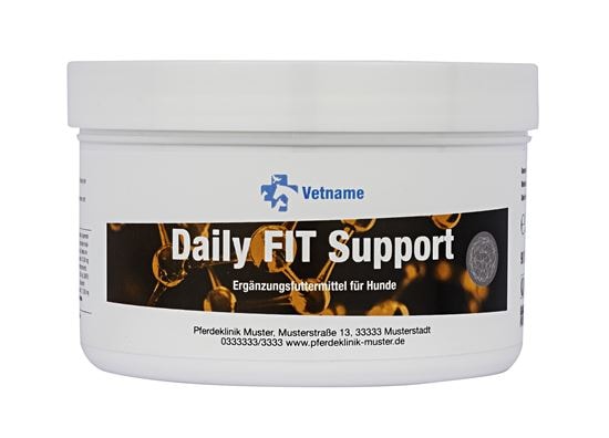 DAILY FIT SUPPORT_0