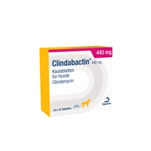 Clindabactin® 440 mg_1
