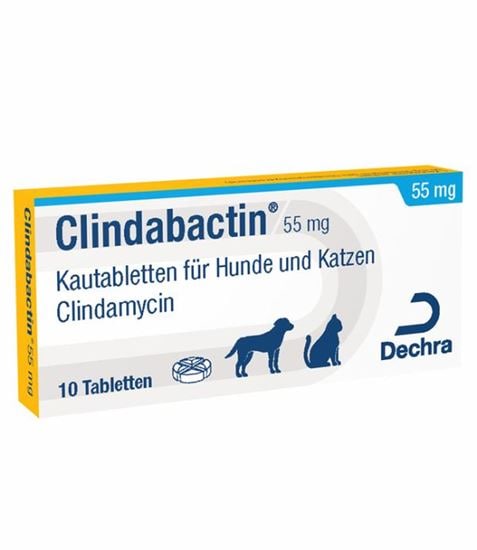 Clindabactin® 55 mg_0
