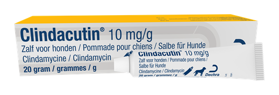 Clindacutin® Salbe für Hunde 10 mg/g_0