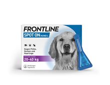 Frontline spot on Hund LFrontline spot on Hund L 20 - 40 kg_1