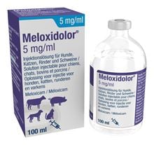 Meloxidolor Inj. 5 mg/ml_1