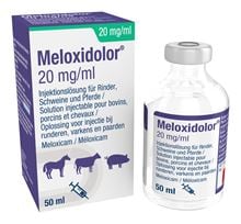 Meloxidolor Inj. 20 mg/ml_1