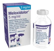 Meloxidolor Inj. 5 mg/ml_1
