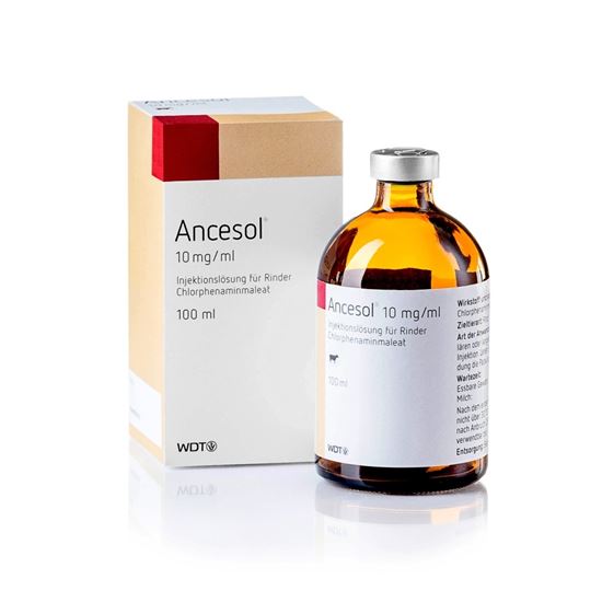 Ancesol® 10 mg/ml_0