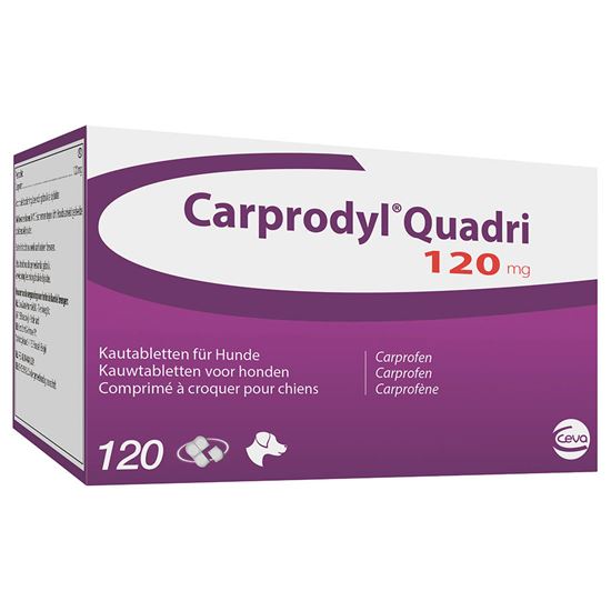 Carprodyl Quadri 120 mg_0