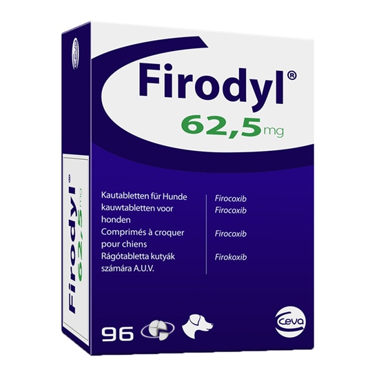 Firodyl 62,5 mg_0