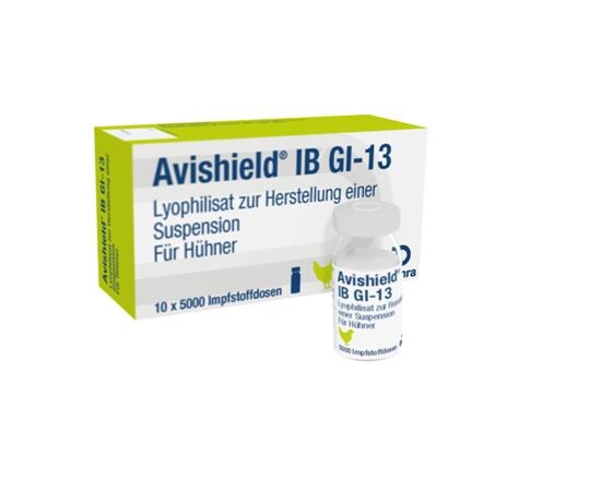 Avishield IB GI-13 Impfstamm "V-173/11"_0