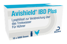 Avishield IBD plus Impfstamm G6_1