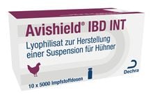 Avishield IBDINT Impfstamm "VMG -91"_1