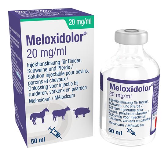 Meloxidolor Inj. 20 mg/ml_0