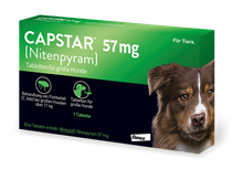 Capstar® Tabletten 57 mg  für Hunde (> 11 kg)_1