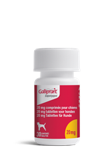 Galliprant 20 mg_1