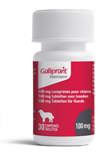 Galliprant 100 mg_1