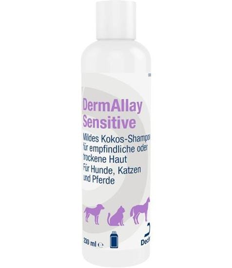 DermAllay Sensitive Shampoo_0