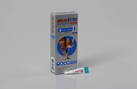 Bravecto Plus Katze 250 mg 2,8-6,25 kg_0