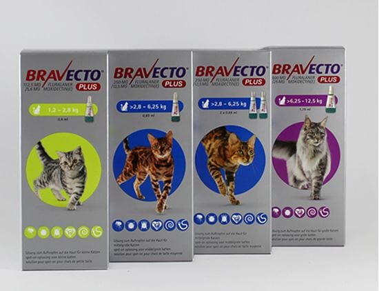 Bravecto PLUS Spot On 500 mg/25 mg für Katzen > 6,25 bis 12,5 kg_0