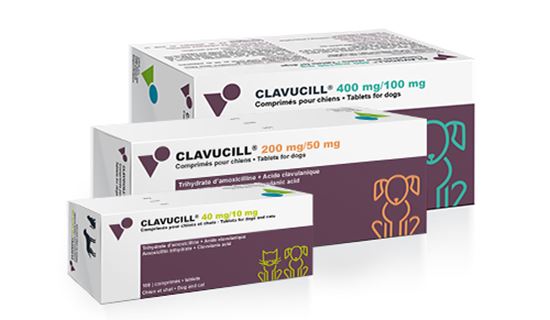 Clavucill 400 mg/100 mg_0