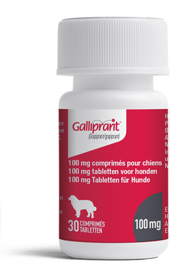 Galliprant 100 mg (34,1-100 kg)_0