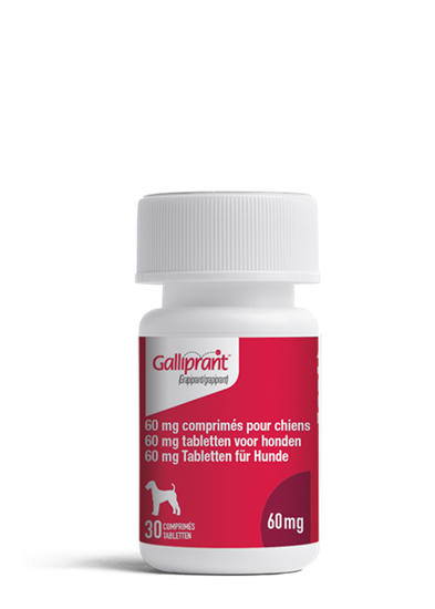 Galliprant 60 mg (13,7-34 kg)_0