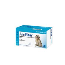 Amflee® 268 mg Lösung zum Auftropfen für große Hunde_1