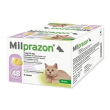 Milprazon für kleine Katzen und Katzenwelpen 4 mg/10 mg_0