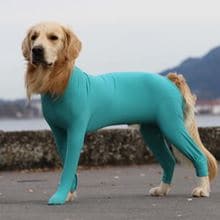 VetMedCare® Dog Body m. 4 Beinen Hündin Größe S+_1