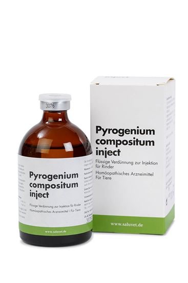 Pyrogenium comp. Inject_0