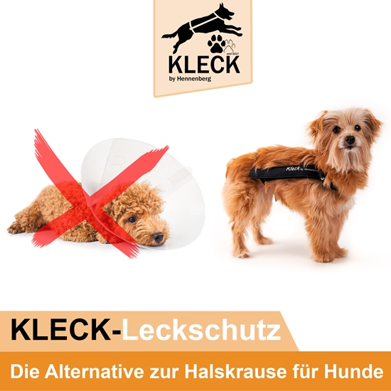 Kleck Leckschutz Paket (1x / 3x /5x) _0