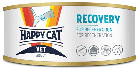 Happy Cat VET Diät Recovery_0