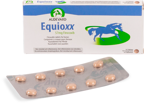 Equioxx Tabletten_0