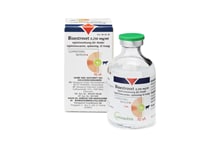 Bioestrovet 0,250 mg/ml Injektionslösung_1