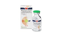Bioestrovet 0,250 mg/ml Injektionslösung_1