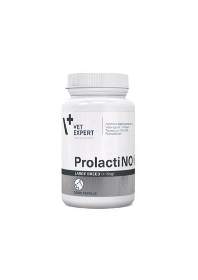 ProlactiNO Large Breed_0