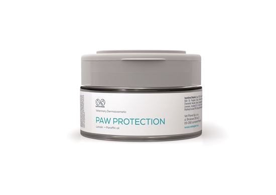 Paw Protection_0