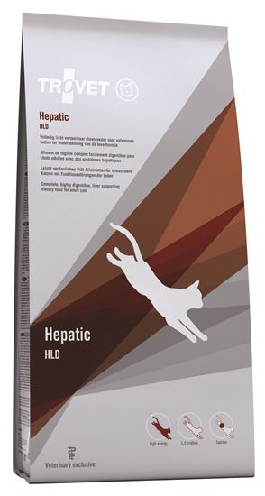Hepatic Katze / HLD_0
