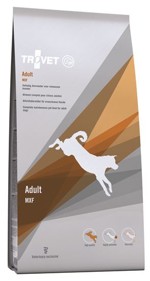 Adult Hund / MXF_0