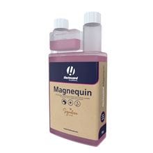 Magnequin_0