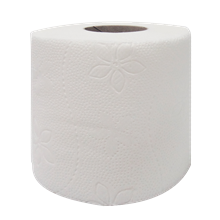 CV-Toilettenpapier, 2 lag. 10cmx24m_1