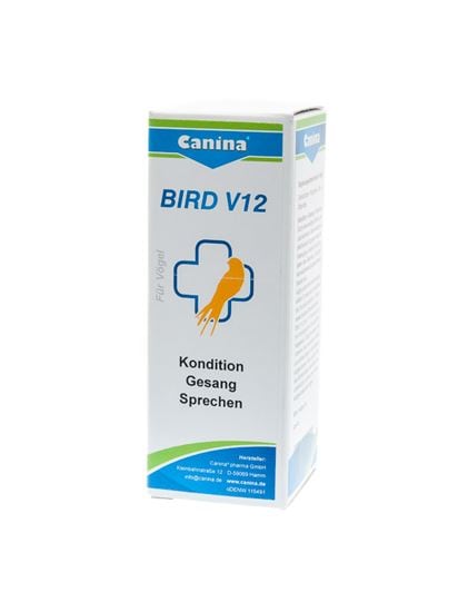 Bird V12_0
