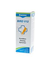 Bird V12_0