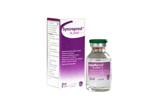 Syncroprost_0