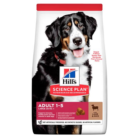 Hills Science Plan Large Breed Adult Lamm und Reis Trockenfutter Hund_0