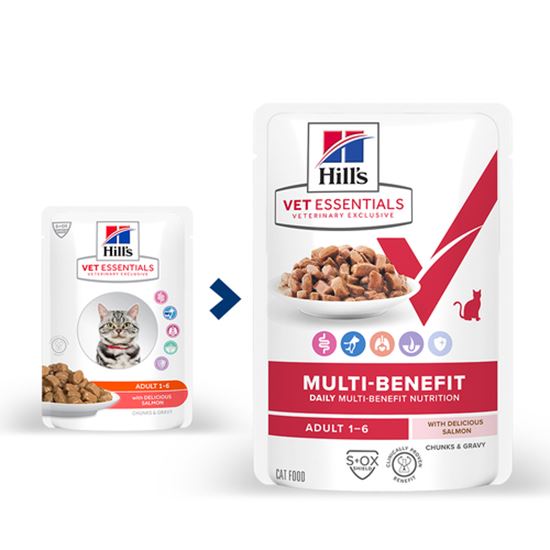 Hills Vet Essentials Multi-Benefit Adult Lachs Frischebeutel Katze_0