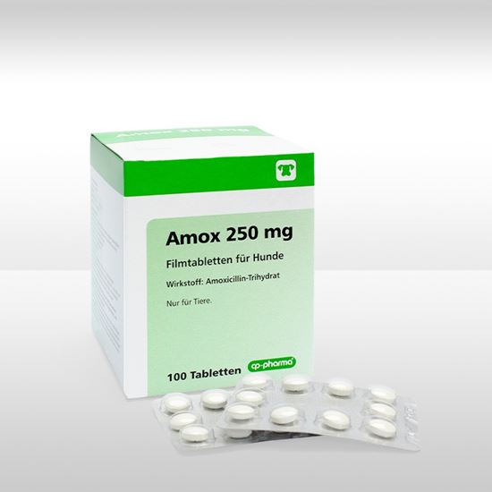 Amox 250 mg Filmtabletten_0