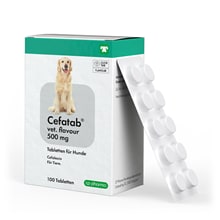 Cefatab flavour 500 mg für Hunde_0