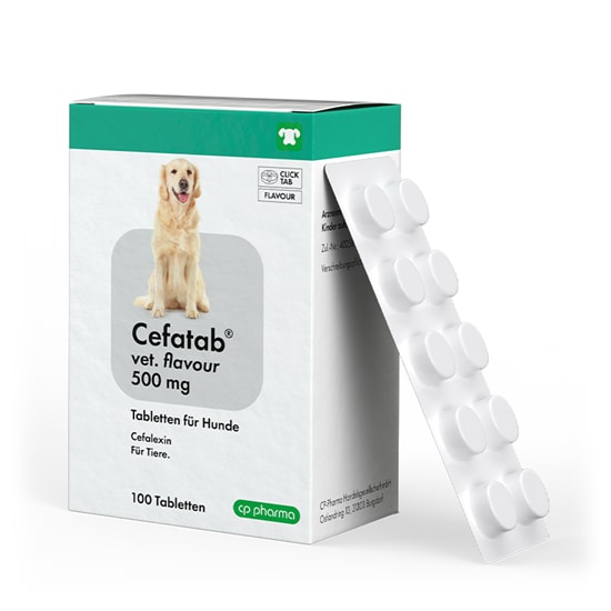 Cefatab vet.  flavour 500 mg für Hunde_0