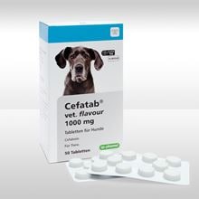 Cefatab flavour 1000 mg für Hunde_0