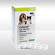 Cefatab flavour 250 mg für Hunde und Katzen_0