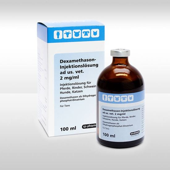 Dexamethason Injektionslösung 2 mg/ml CP-Pharma_0